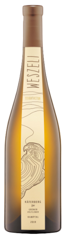 Ried K&auml;ferberg Gr&uuml;ner Veltliner 1 &Ouml;TW 2014