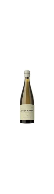  IGP Val De Loire Sauvignon 2024